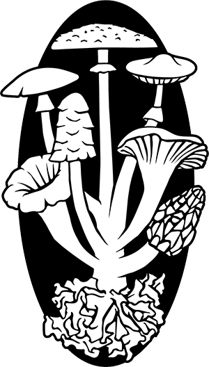 Champignac